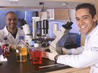 Scientists near microscopes